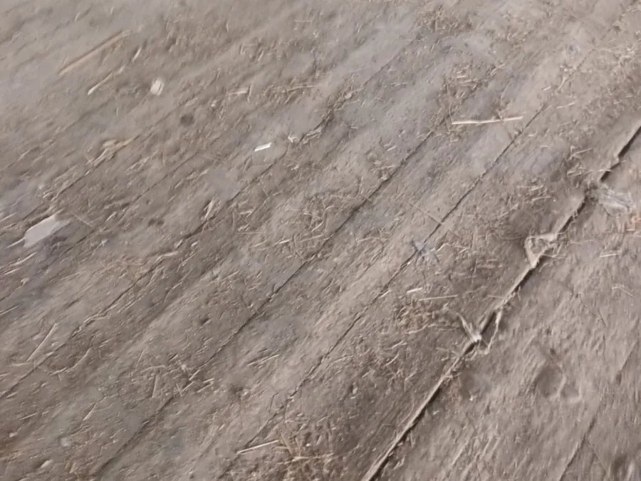 Reclaimed wood flooring — photo 2