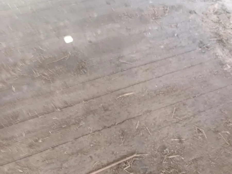 Reclaimed wood flooring — photo 3